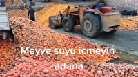 Çürümüş meyveler kepçeyle tesislere taşındı: Meyve suyu olup sofralara gelecekmiş