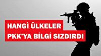 Yeni Şafak’tan olay olacak yazı dizisi: Hangi ülkeler PKK’ya bilgi sızdırdı