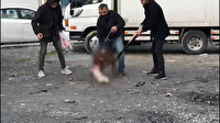 Sultangazi'de pitbull dehşeti: Yasağa rağmen sokaklarda ağızlığı olmadan gezdirdi 11 bin lira cezayı yedi