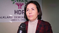 HDP'li Buluttekin'e terör örgütü üyeliğinden 7 yıl 6 ay hapis cezası