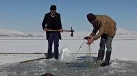 Bitlis'te donan Nazik Gölü’nde Eskimo usulü balık avı