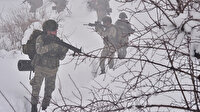Güvenlik güçleri şubat ayında 126 PKK'lı teröristi etkisiz hale getirdi