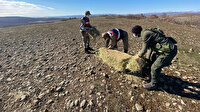 Elazığ jandarmasından örnek davranış: Yaban keçilerine saman, balıklara drone ile ekmek bıraktılar