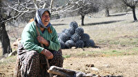Antalya'da 11 kız kardeşli 70 yaşındaki kadının 62 yıllık çobanlık hikayesi ilgi çekiyor