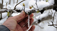 Meteorolojiden 4 il için zirai don uyarısı