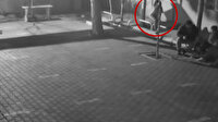Sivas'ta asılarak gövdesinden kırdıkları ağacı tekrar tutturmaya çalıştılar
