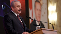 TBMM Başkanı Şentop: Meclisi seçtiği gibi hükümeti de doğrudan halkımız seçsin
