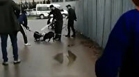 Sultanbeyli’de pitbull dehşeti: Sokak köpeği güçlükle kurtarıldı