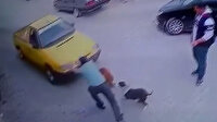 Köpeklerle oynayan genç ezilmekten son anda kurtuldu