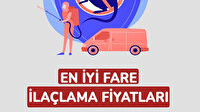 Pire ilaçlama
