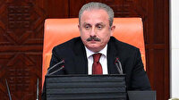 Şentop'tan Gergerlioğlu açıklaması: Meclis'i eylem alanı olarak kullanmaya kalkması kabul edilemez