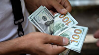 Dolar güne kaç liradan başladı?