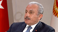 TBMM Başkanı Şentop: HDP kapatılırsa vekillikler düşmeyeceği için erken seçim olmaz