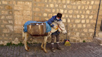 Mardin’in ’kadrolu eşekleri’ iş başında: 8-10 yıllık çalışmalarının ardından ’emekliliğe’ ayrılıyor