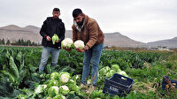 Mart ayında fiyatı en çok artan ürün karnabahar oldu