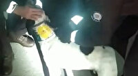 Sakarya'da boynuna plastik kelepçe takılan köpeği bekçiler kurtardı