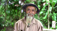 70 yaşındaki 'Java'nın delisi' tek başına 11 bin ağaç dikti