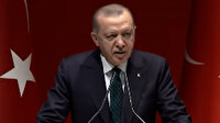 Cumhurbaşkanı Erdoğan'dan, düşen askeri uçak hakkında açıklama: Şehidimize Allah'tan rahmet diliyorum