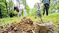 Karabağ’ın fidanları Anadolu’dan