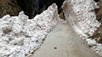 Rize'de çığ düşen yol 4 saatte açılabildi