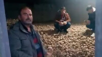 Patates üreticilerinden Erdoğan’a teşekkür videoları: Hem derdimize hem fakir fukaraya derman oldu