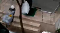 Güngören'de kimseyi umursamayan hırsızları mahalle sakini görüntüledi