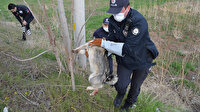 Yaralı köpeğin imdadına 'HAYDİ' polisleri yetişti