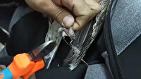 Ayaklarına misina dolanan martıyı kurtardılar