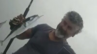 Antalya balon balığı kaynıyor: Oltalara 4’er 4’er takılıyor