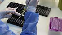 Japonya'da geliştirildi: Koronavirüsü 5 dakikada saptayabilen test