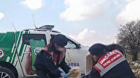 Mersin'de Jandarma ekipleri tarafından bulunan kanadı kırık pelikan tedavi altına alındı