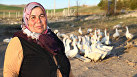 Hobi olarak başladı bir yılda çiftlik kurdu: Taleplere yetişemiyor