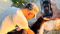 Veterineri telefonla görüntülü arayıp eşeğe doğum yaptırdı