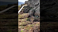 Milli Savunma Bakanlığı paylaştı: Teröristlerin inlerine girmeye devam ediyoruz