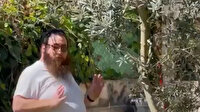 İsrailli işgalciden "Burası benim evim" diyen Filistinli kadına: Ben çalmazsam başkaları çalacak