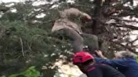 Kahramanmaraş'ta çıktığı ağaçta fenalaşan adamı itfaiye kurtardı