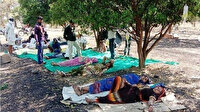 Hindistan’da Kovid hastaları portakal bahçelerinde tedavi görüyor: Serumlar ağaç dallarına asılıyor