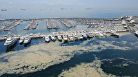 Deniz salyası Pendik Marina'yı beyaza boyadı