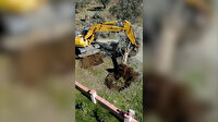 Edremit Belediyesinin iş makineleriyle ağaç kıyımı vatandaşın kamerasına yansıdı