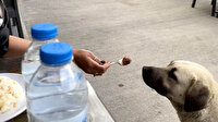 Köpeğe kaşıkla yemek yediren kadın sosyal medyada tartışma konusu oldu
