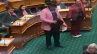 Yeni Zelanda'da Maorili vekil Haka dansı yaptı, parlamento toplantısından atıldı
