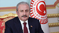 TBMM Başkanı Şentop: Filistinli kardeşlerimiz için her türlü diplomatik gayreti gösteriyoruz