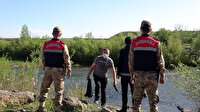 Van'da üreme döneminde kaçak avlanan bir ton inci kefali ele geçirildi