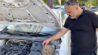 17 gündür satmayı beklediği otomobile kuş yuva yaptı: Yavrular çıkana kadar satmayacak