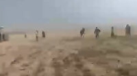 Şanlıurfa'da etkili olan toz fırtınası mercimek tarlalarını vurdu