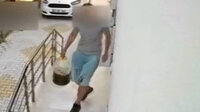 Osmaniye'de zeytinyağı hırsızı kamerada
