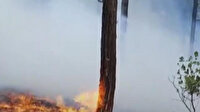 Adana'da orman yangını çıktı