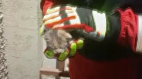 Baca içerisine düşen kedi yavrusu itfaiye ekiplerince kurtarıldı