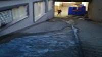 Esenyurt'ta 'mavi su' bu kez iş yerlerine aktı: Sokak köpekleri içip ölüyor