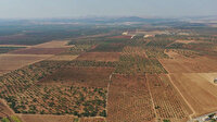 Barak Ovası canlanacak